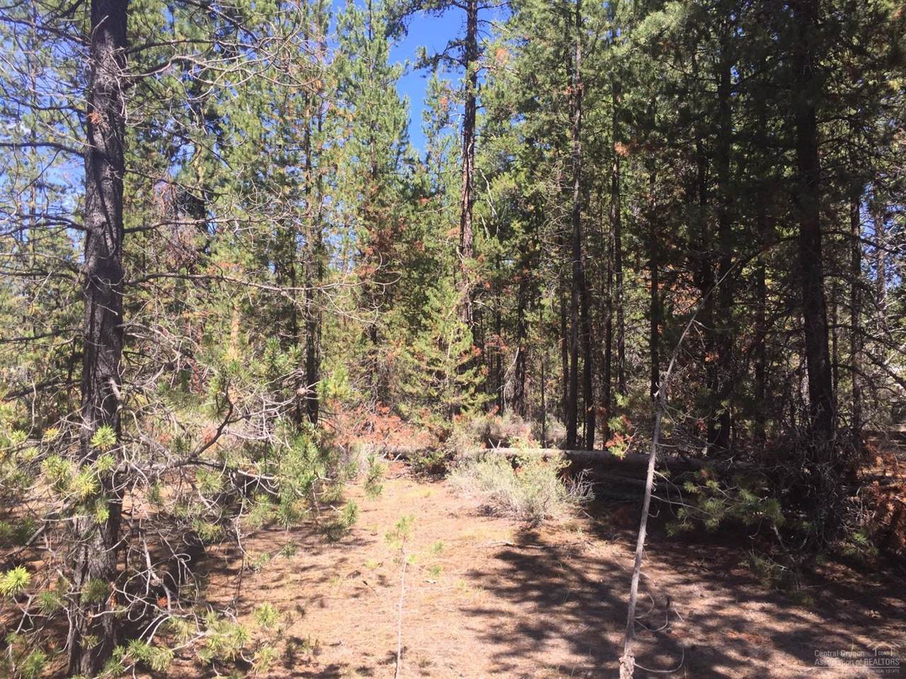 15958 Old Mill Road - Photo 1