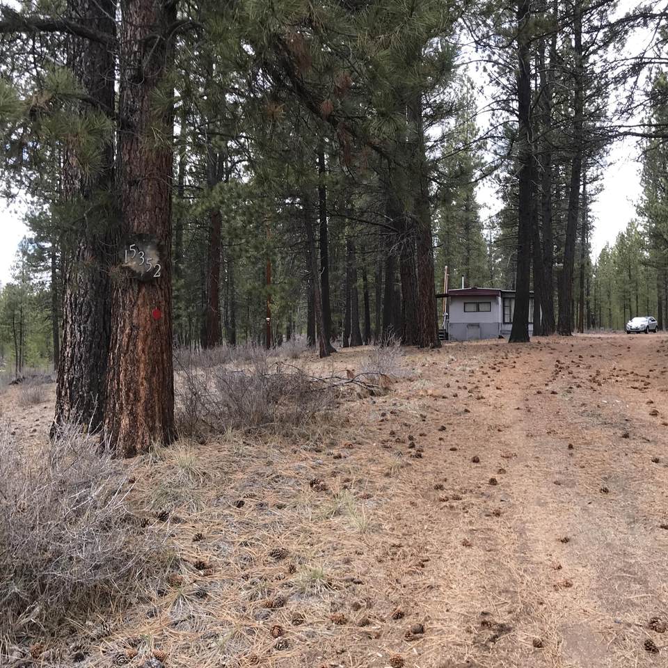 15352 Bear Street - Photo 1