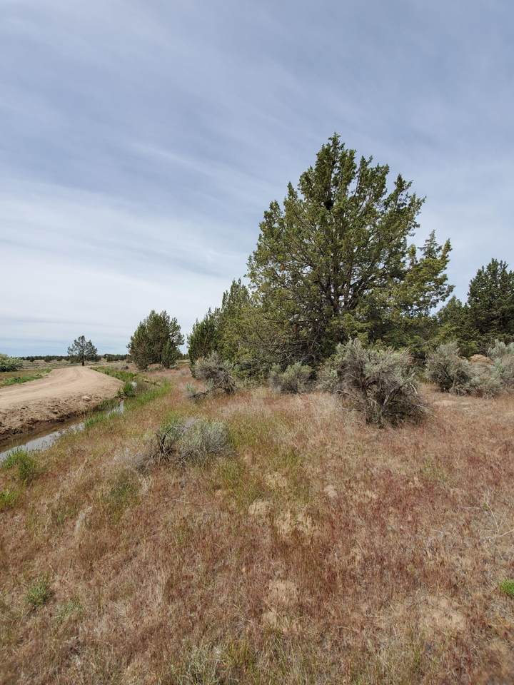 6152 W Demaris Street - Photo 1