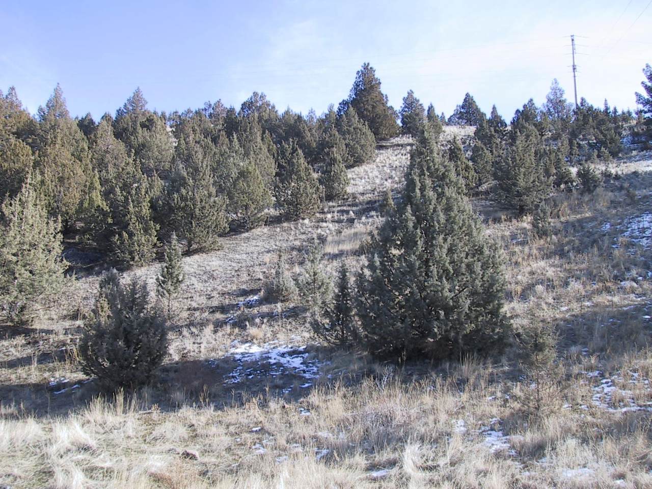 Lot 710 Lot 710 Patterson Drive - Photo 1