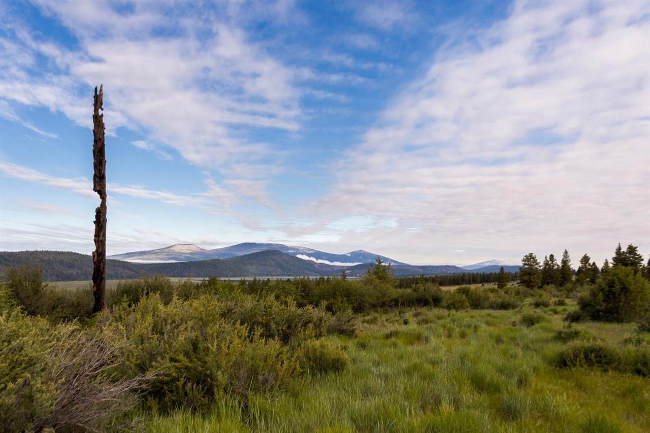 6125 Olson Mountain Way - Photo 1