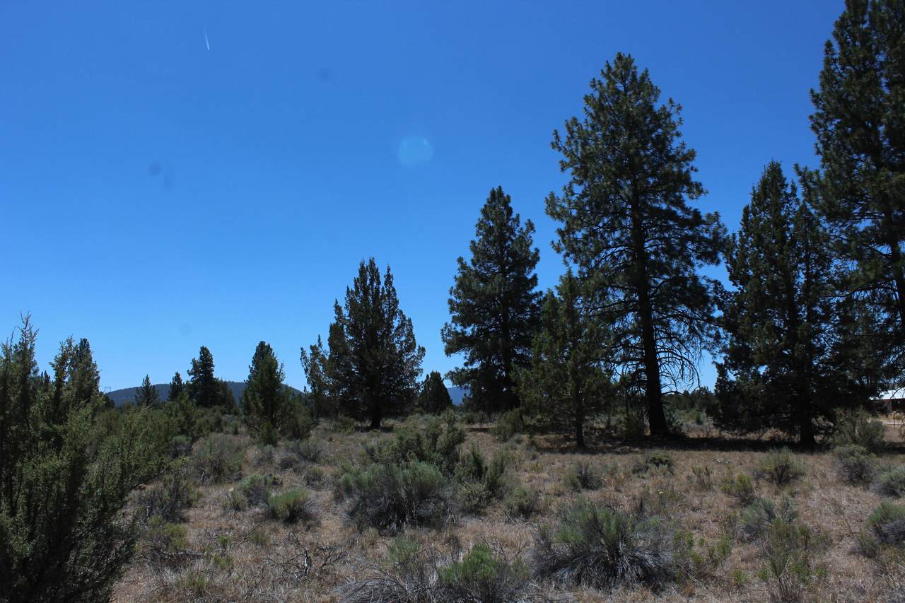 Deer Springs Drive - Photo 1