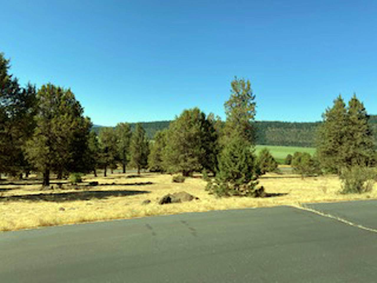 1030 Turnstone - Photo 1