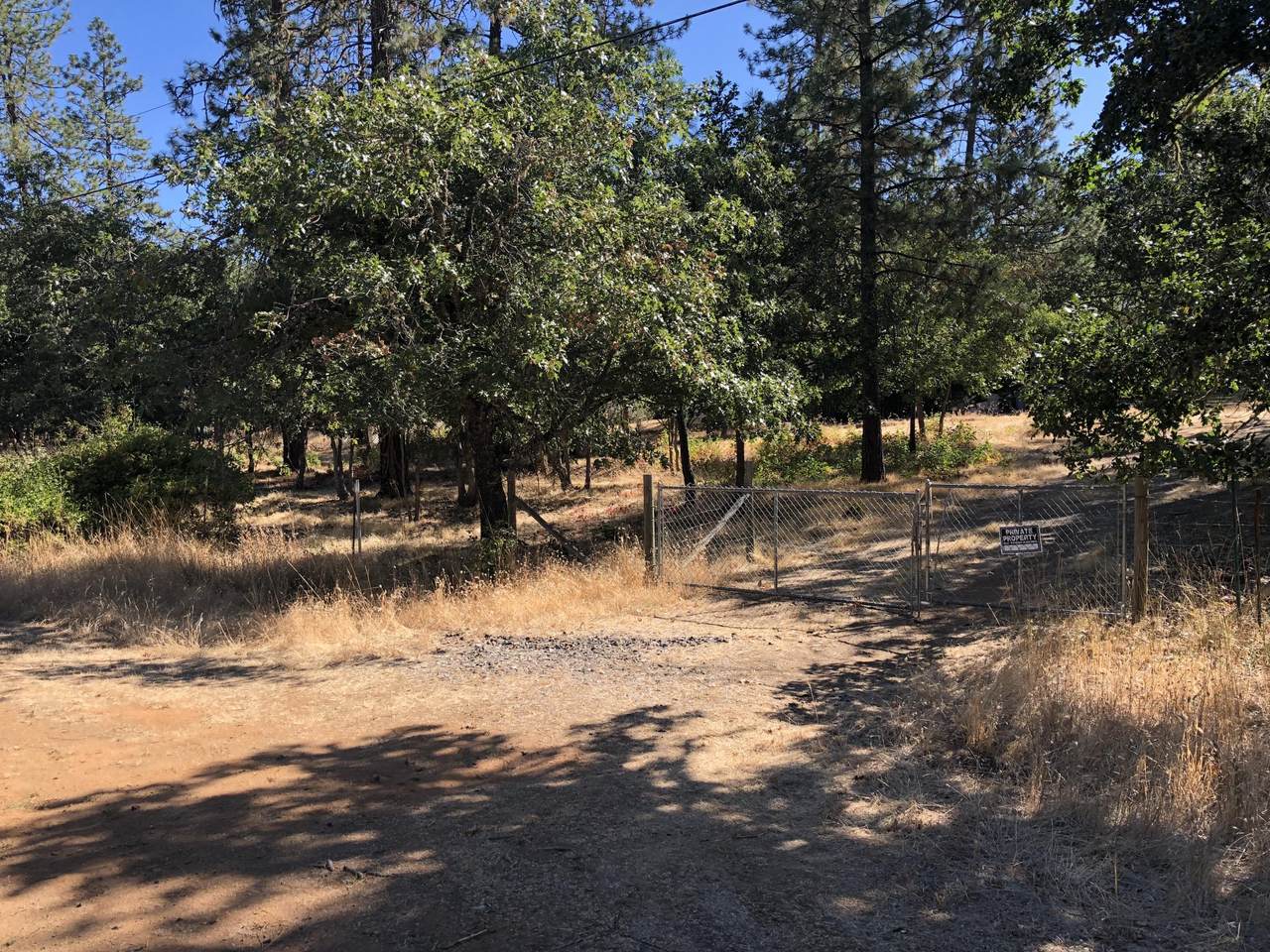 Lot 216 Board Shanty Creek Road - Photo 1