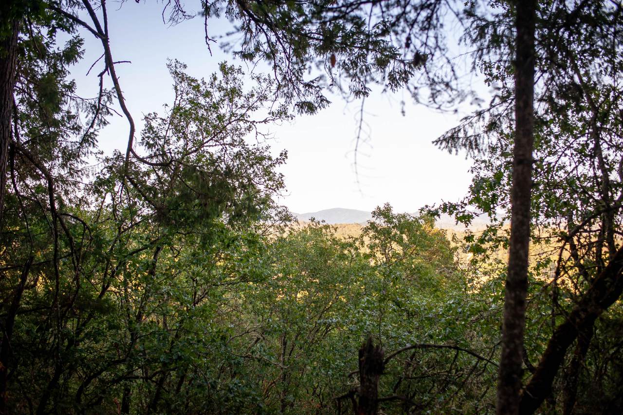0 Upper River Road - Photo 1