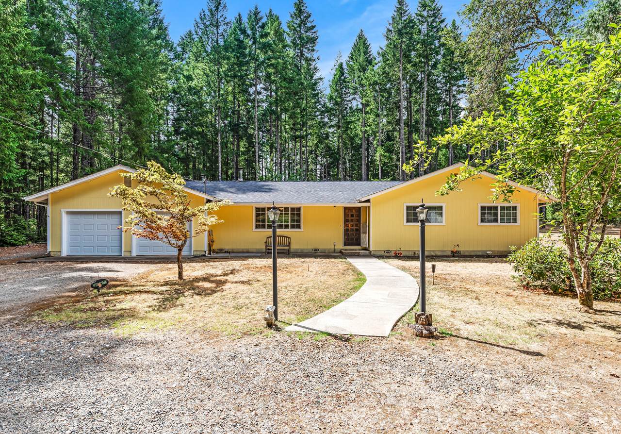 381 Pinewood Way - Photo 1