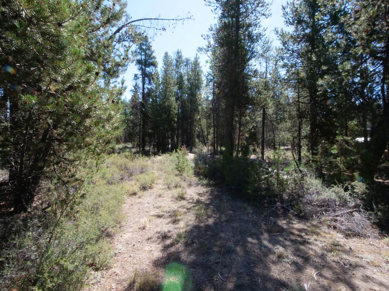 1100 Crescent Cut-Off - Photo 1