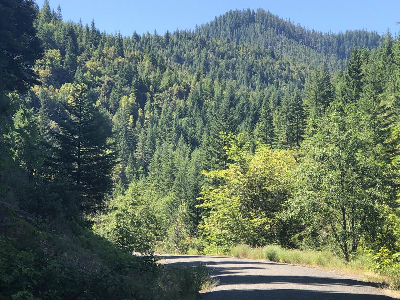 0 Deer Creek Road - Photo 1