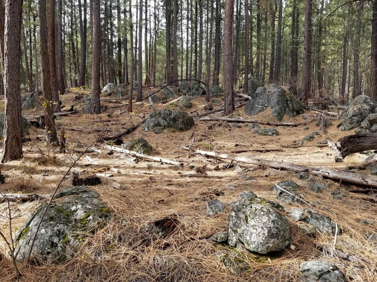 0 Bly Mountain #2 - Photo 1