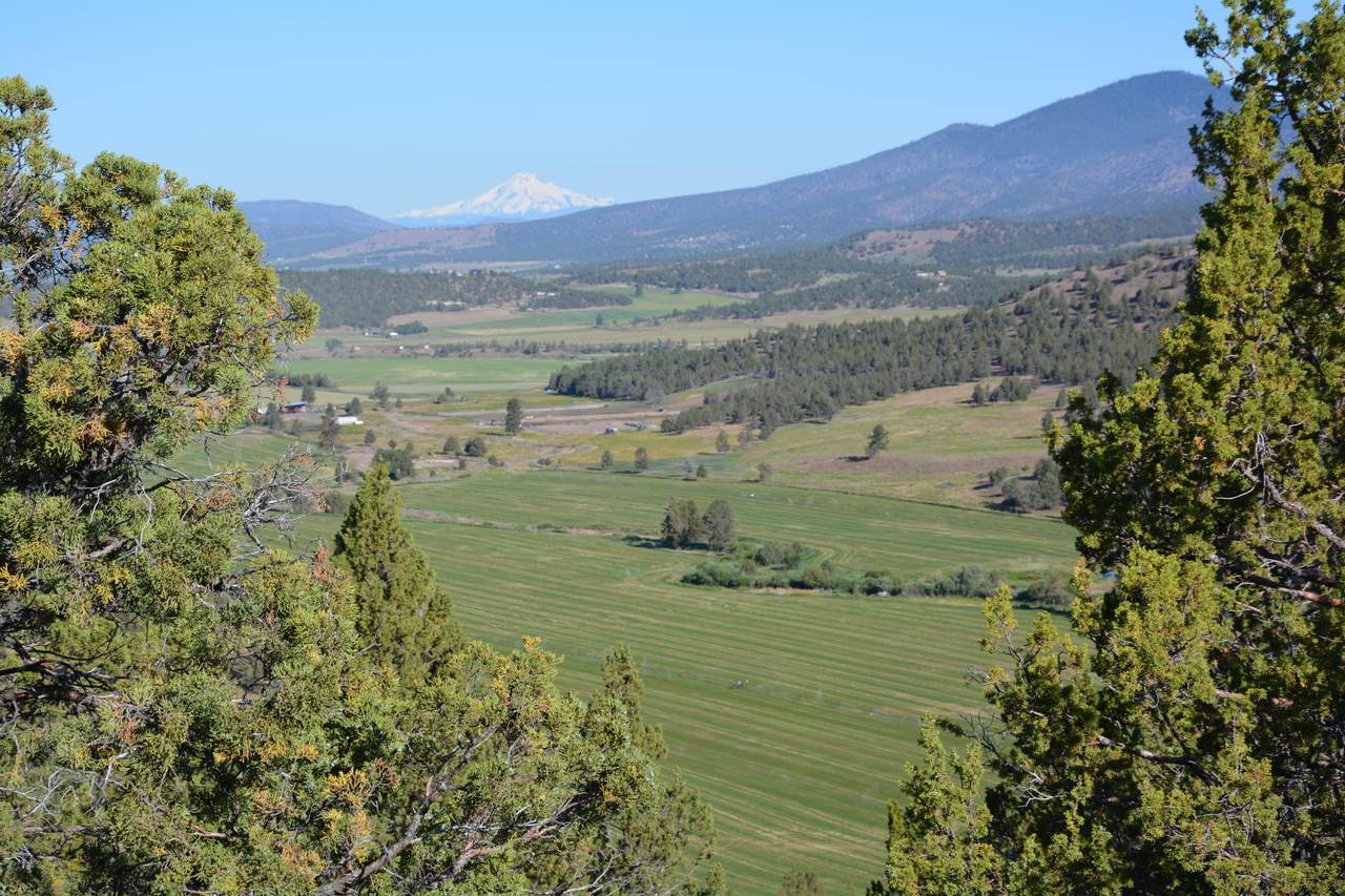 Dry Creek Road - Photo 1