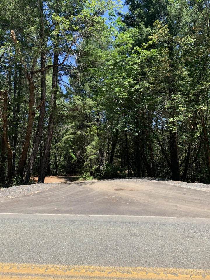 Limpy Creek Tl 203 Road - Photo 1