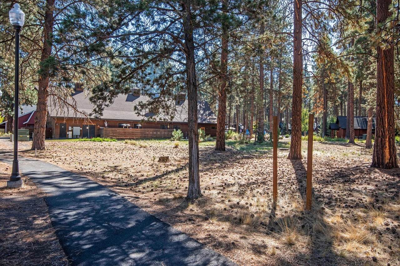 1061 Desperado Trail - Photo 1