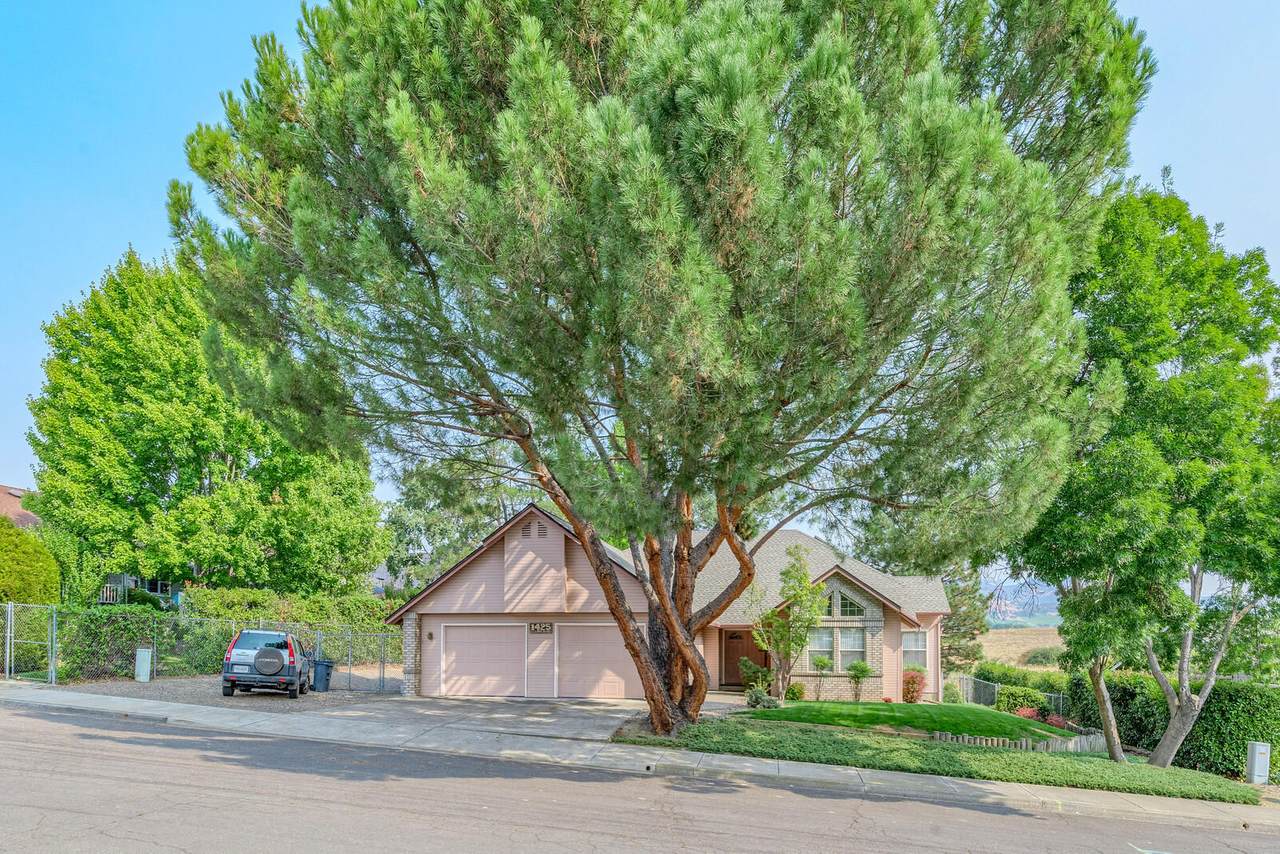 1425 La Loma Drive - Photo 1