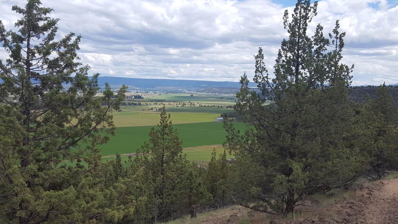 TBD Panorama View - Photo 1
