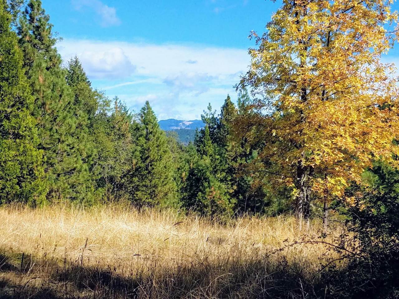 999 Fork Trail Creek Road - Photo 1