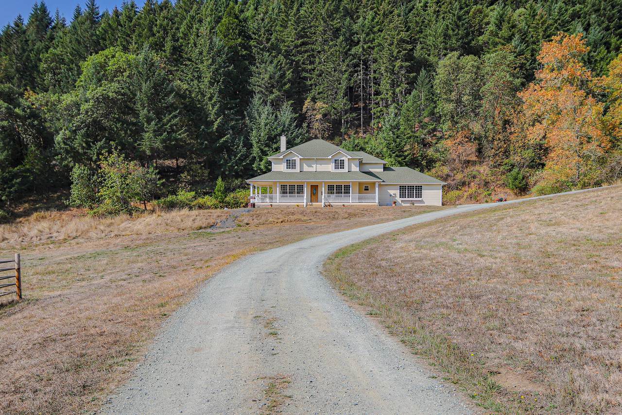 1310 Spring Brook Road - Photo 1