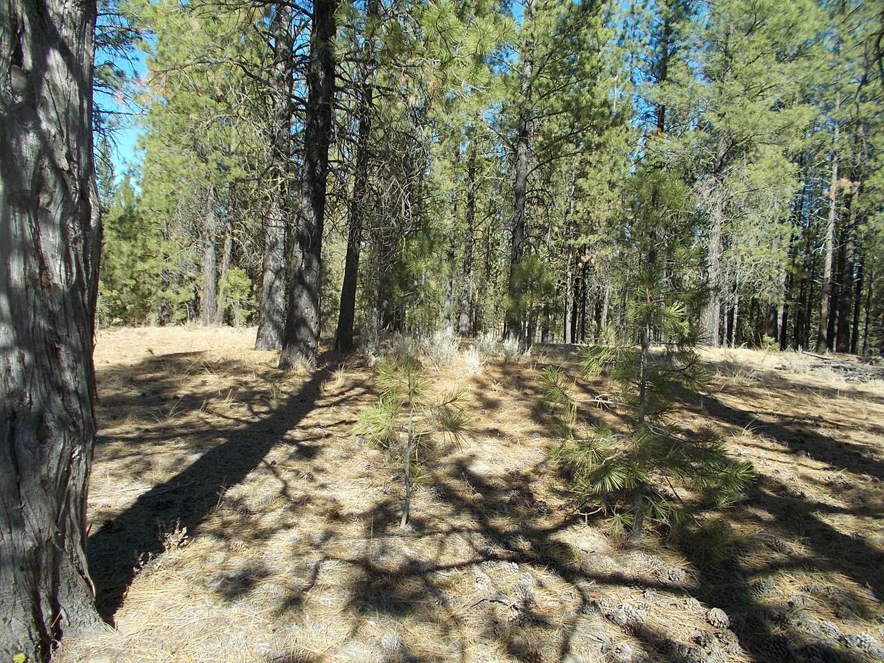 Lot 2100 Bamford Road - Photo 1