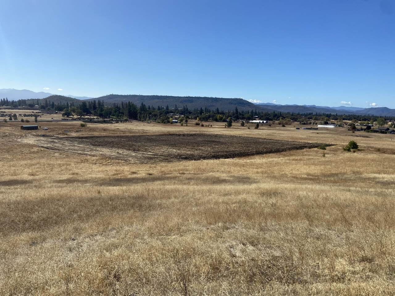 3158 Highway 234 - Photo 1