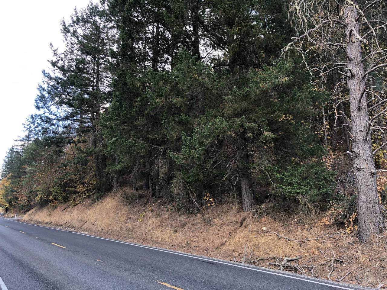 0 Williams Highway - Photo 1