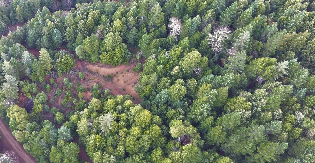 TL 100 Marble Mountain Road - Photo 1