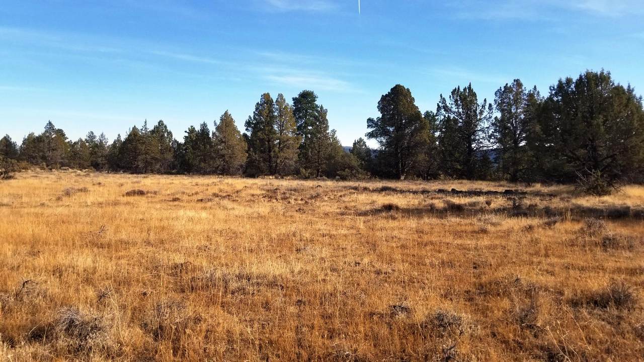 0 Rim Dr Lot 12 - Photo 1