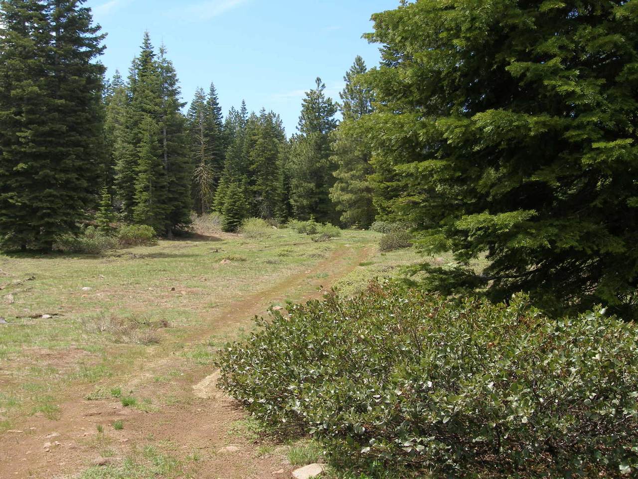 0 Pecary Ln Lot 2200 - Photo 1