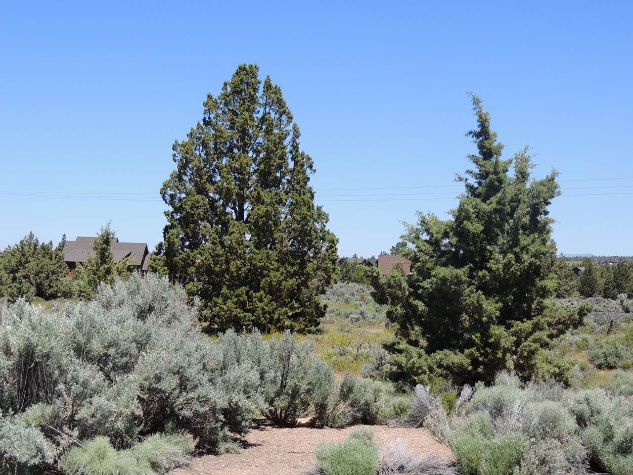 Lot 433 Caballaro Court - Photo 1