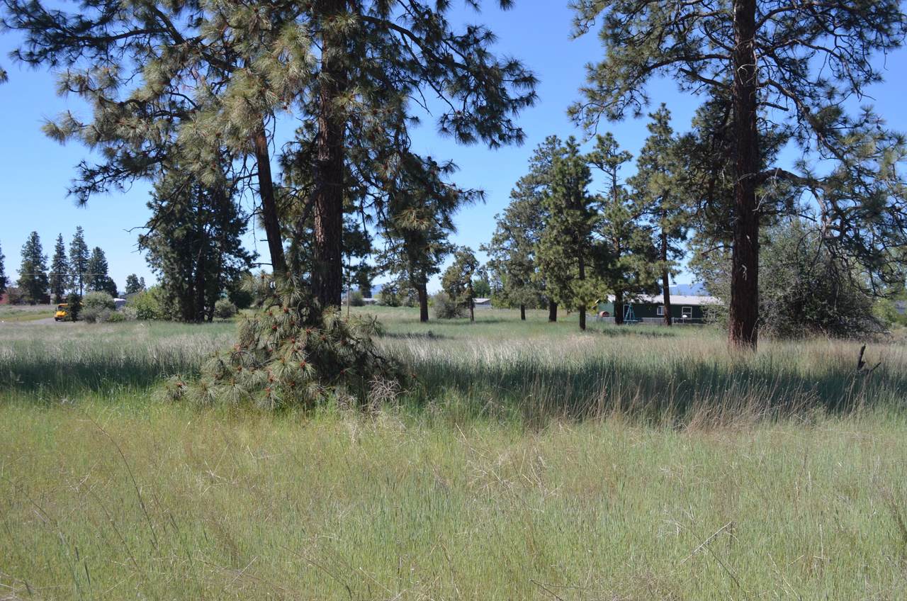 1700 Meadow View Drive - Photo 1