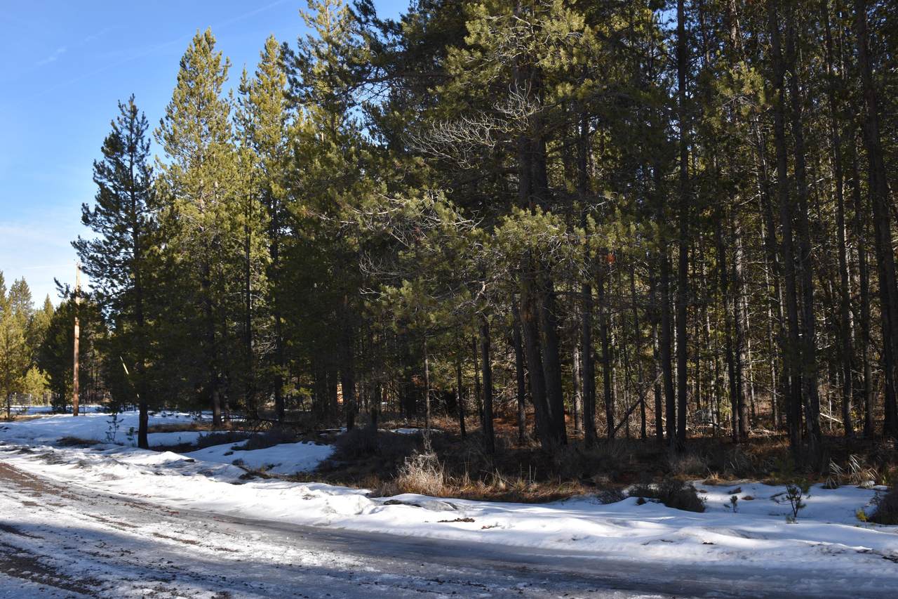 54662 Red Fox Lane - Photo 1