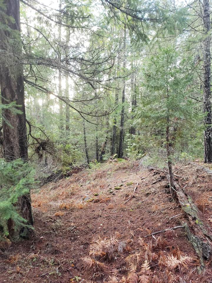 Pleasant Creek - Photo 1