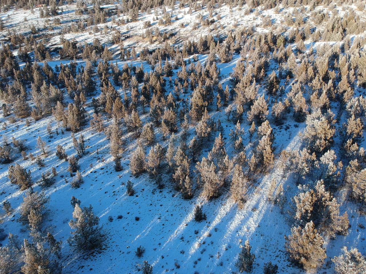 10201 Wolf Road - Photo 1