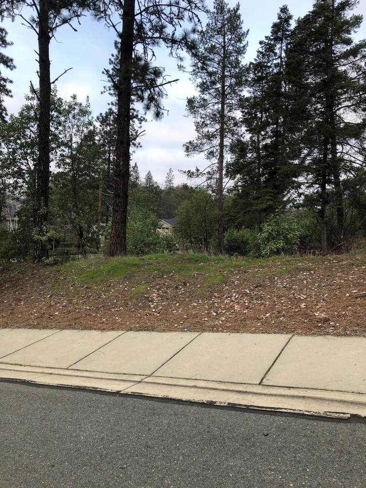 2552 Coriander Way - Photo 1