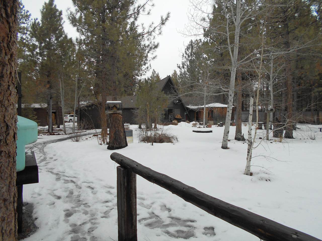 50816 Fawn Loop - Photo 1