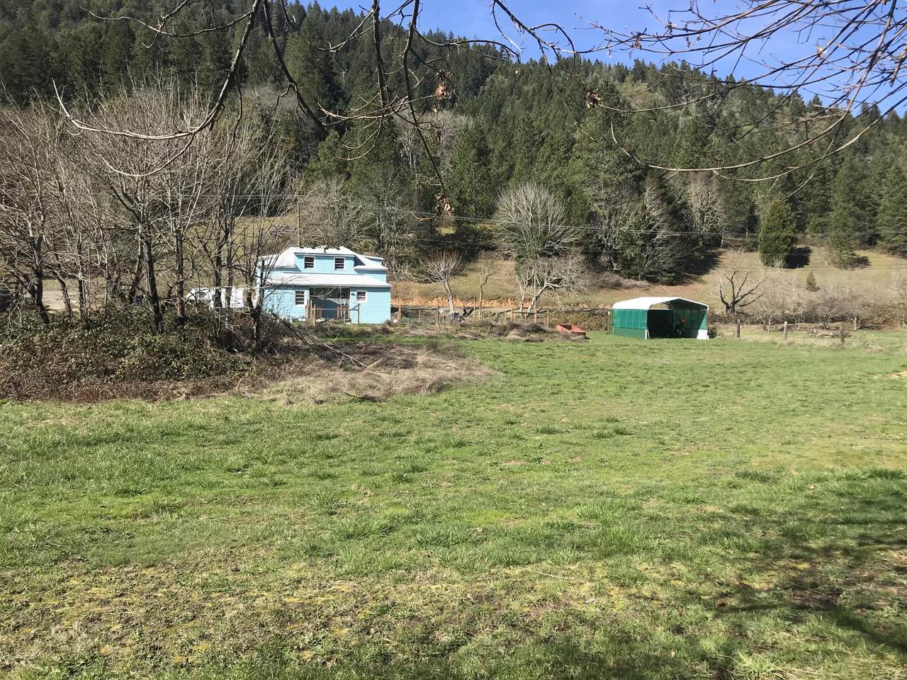 9060 Azalea Glen Road - Photo 1