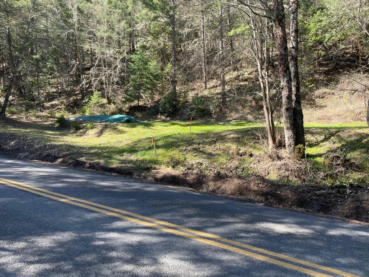 Thompson Creek Rd - Photo 1