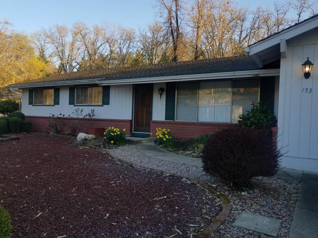 153 Brandy Lane - Photo 1