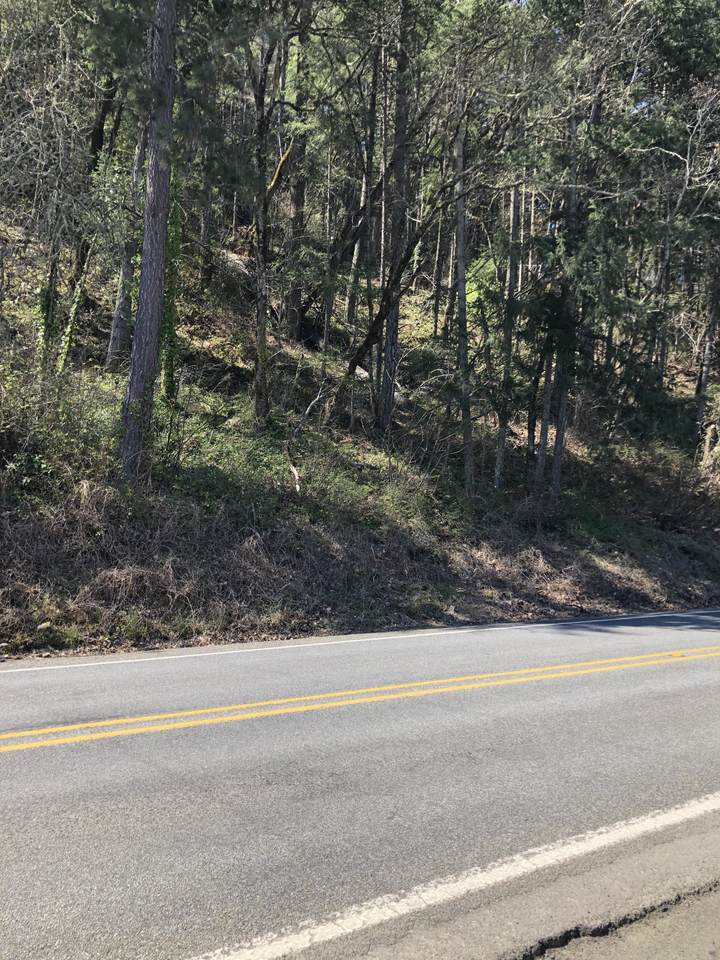0 Rogue River Highway - Photo 1