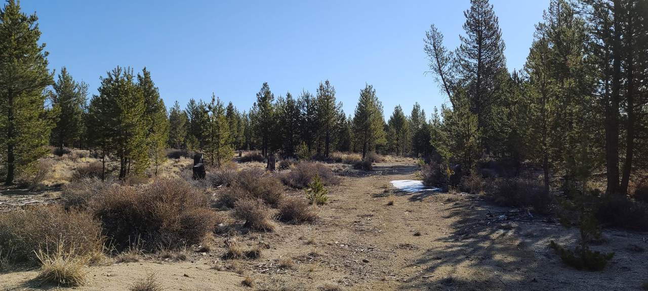 400 Bear Track Road - Photo 1