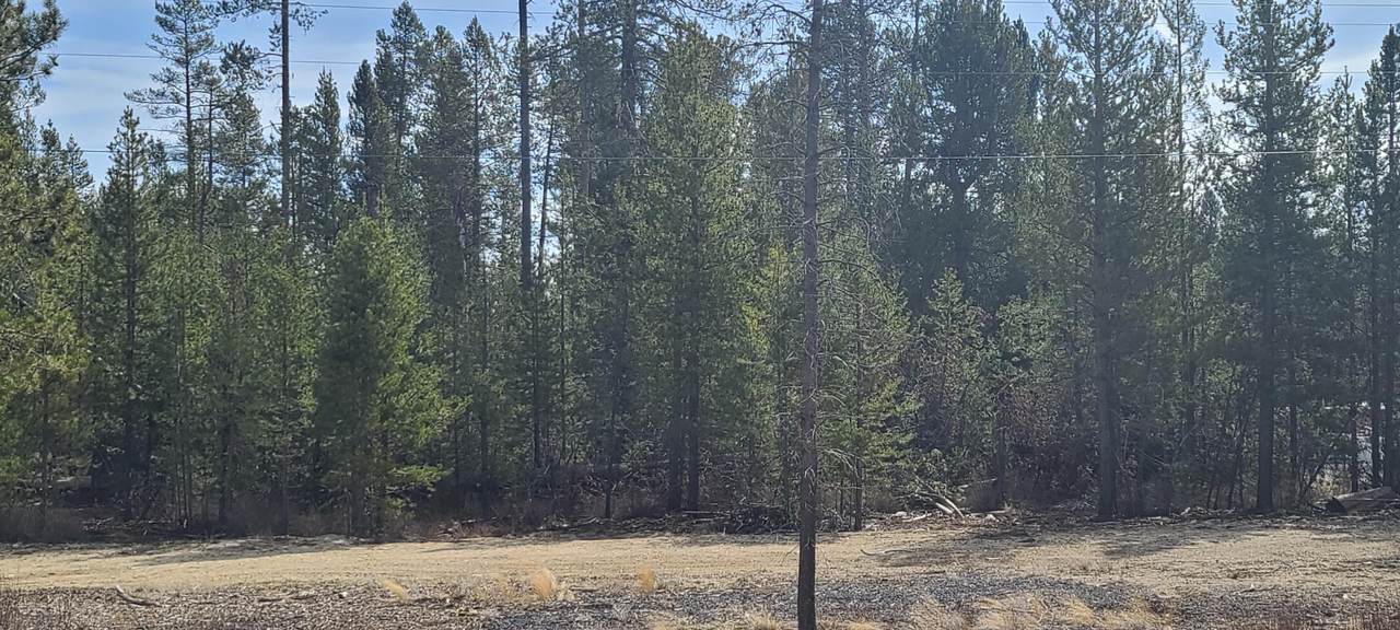 800 Hwy 97 - Photo 1