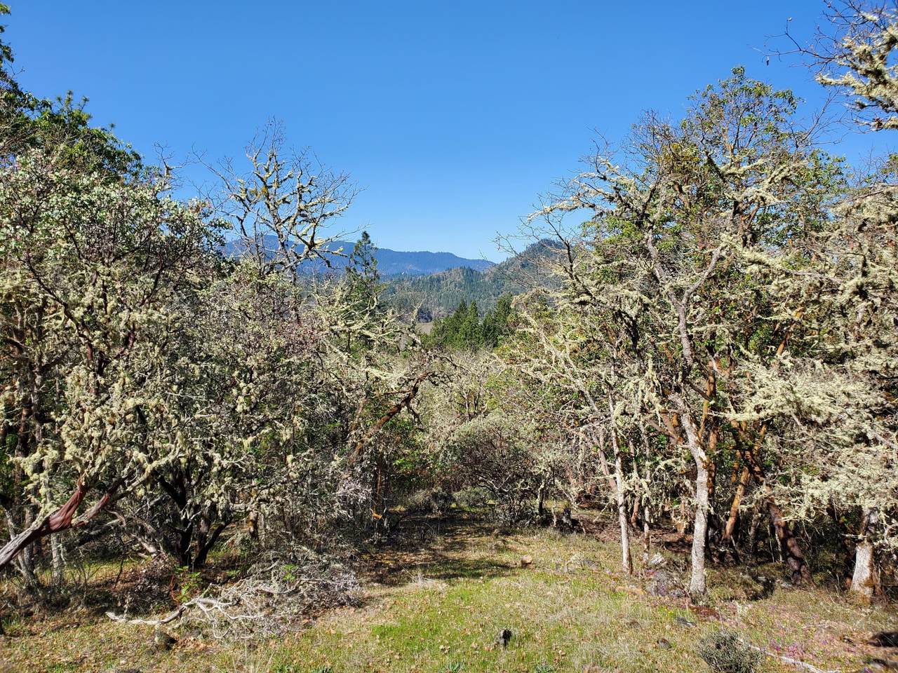0 Applegate Road - Photo 1