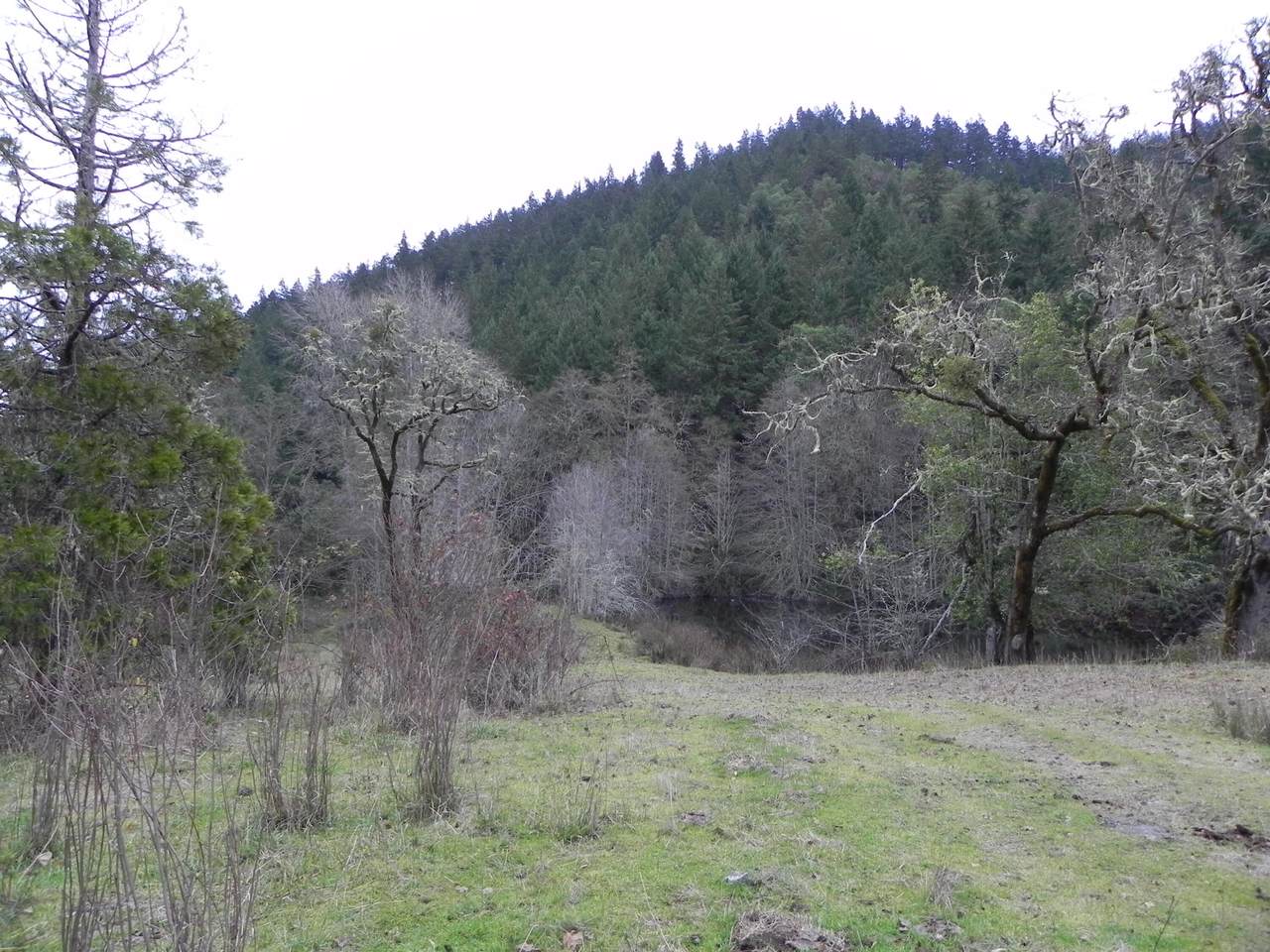 100 Boomer Hill Road - Photo 1