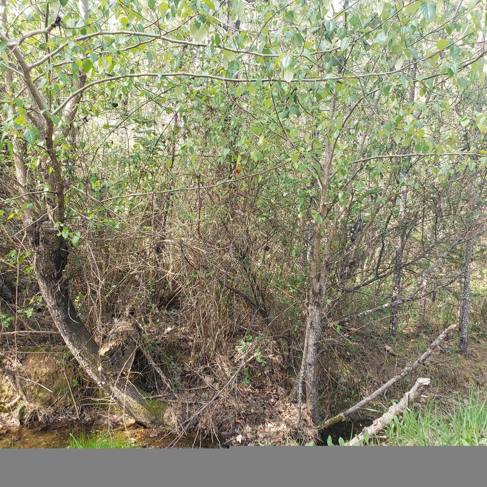 442 Fir Drive - Photo 1