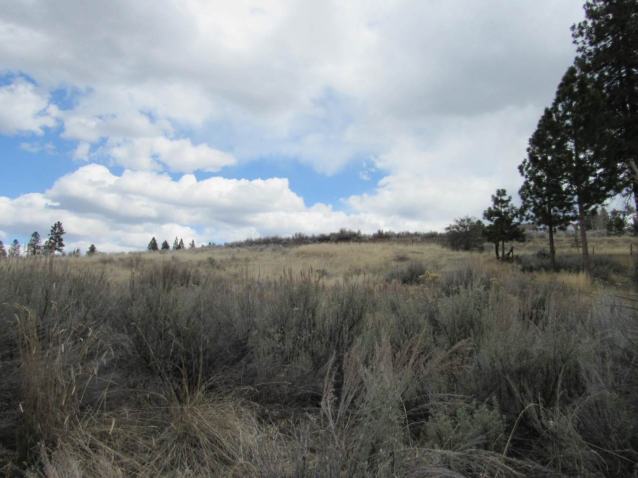 Lot 1 Elida Court - Photo 1