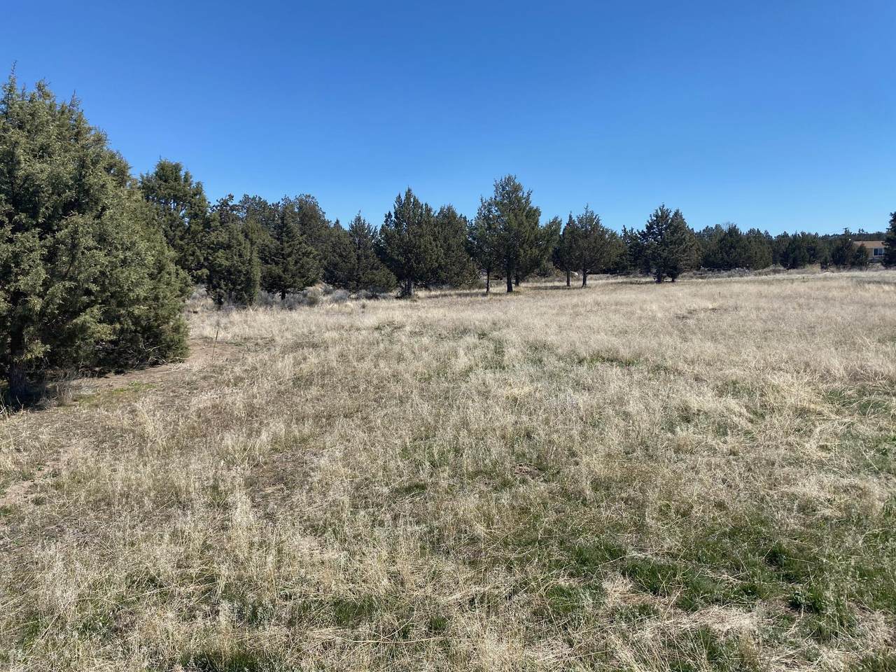 TL 3000 Shawnee Road - Photo 1