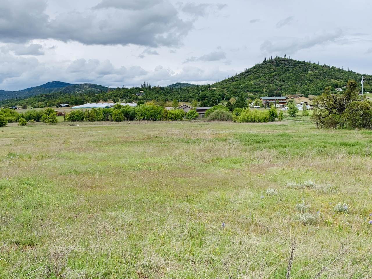 14399 Avalon Road - Photo 1