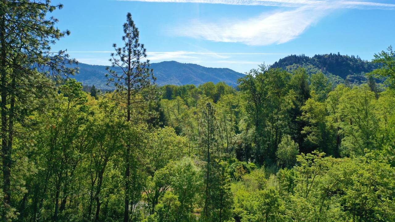 7000 Applegate Road - Photo 1