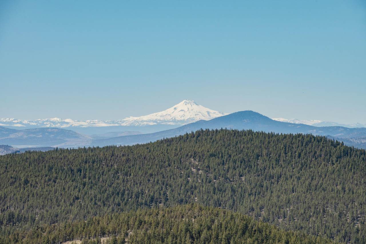 27850 Old Wolf Creek Road - Photo 1