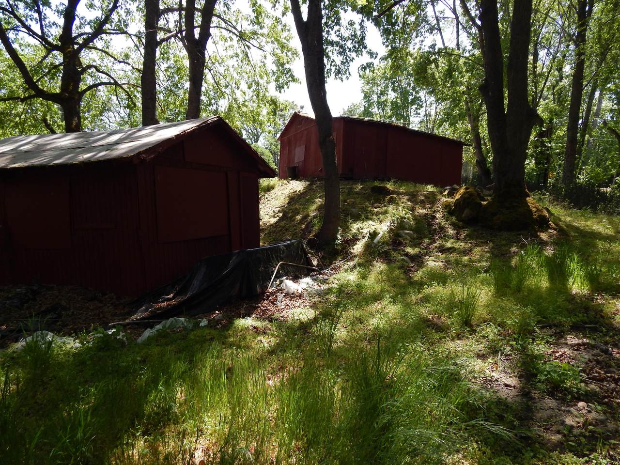 825 Neil Creek Road - Photo 1