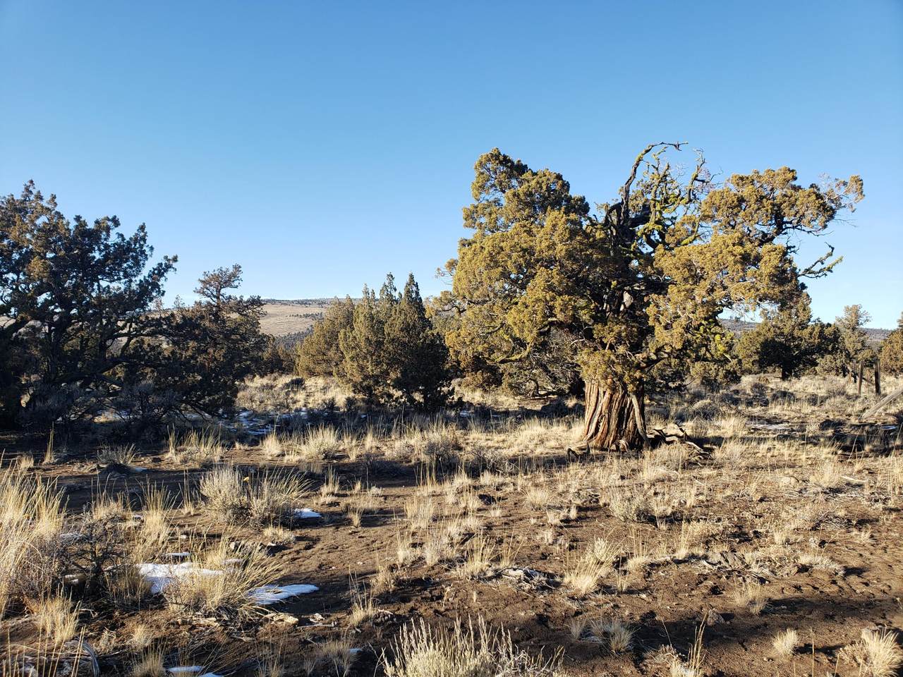3700 Golden View Ranch - Photo 1