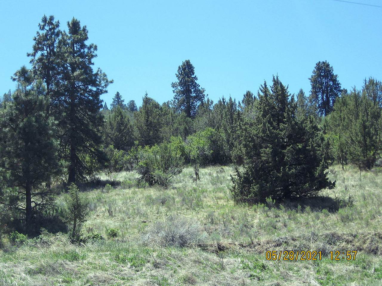 https://bt-photos.global.ssl.fastly.net/coar/1280_boomver_1_220123935-2.jpg